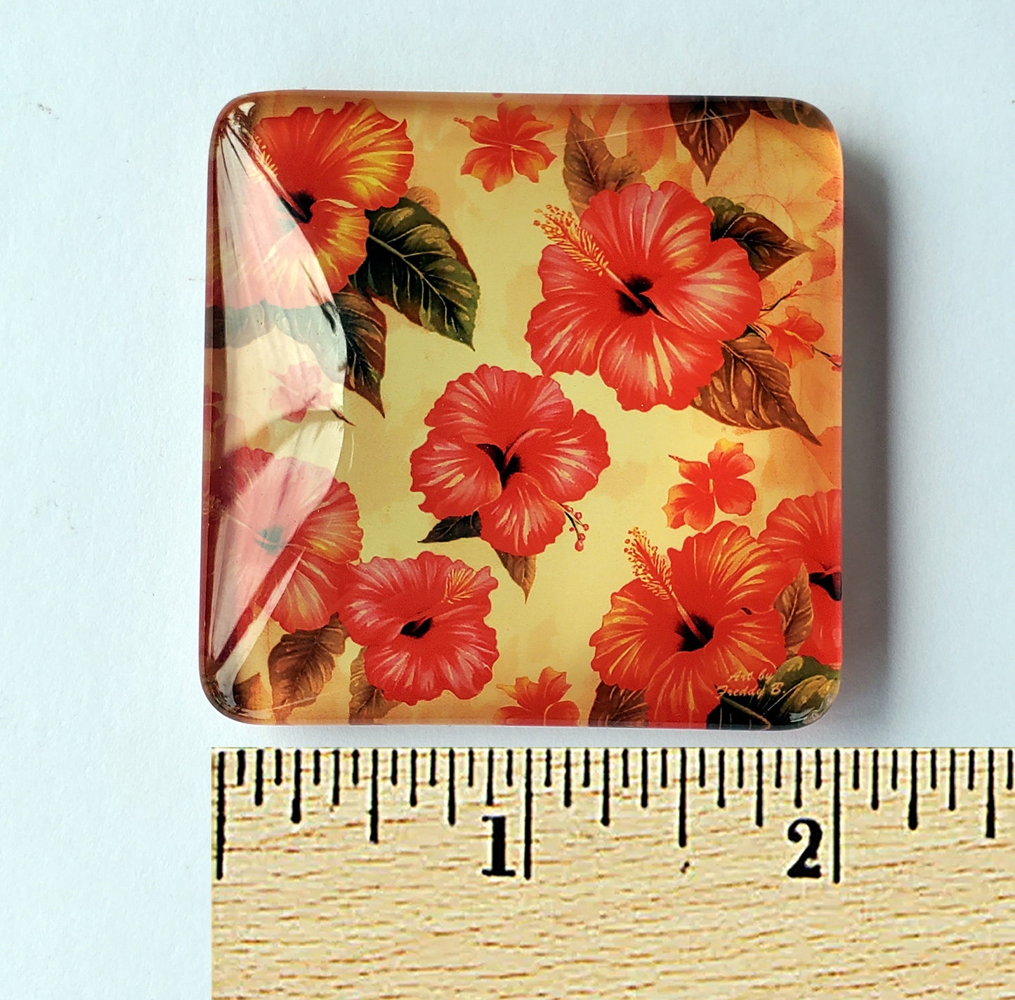 Collectible Fridge Magnets, Cubicle Decor, Set of 6 Medium Size Crystal Clear Acrylic Magnets, The Flowers Collection