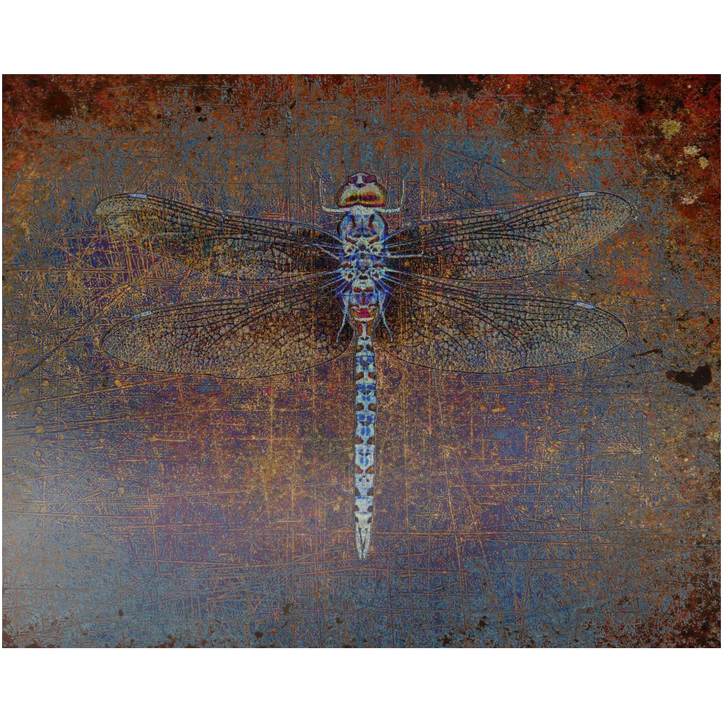 Nature Themed Metal Wall Art Dragonfly on a Distressed Orange and Purple Background Printed on Rectangular Eco-Friendly Recycled Aluminum