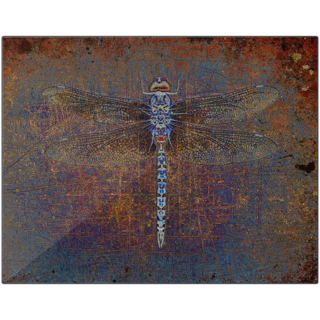 Nature Themed Metal Wall Art Dragonfly on a Distressed Orange and Purple Background Printed on Rectangular Eco-Friendly Recycled Aluminum