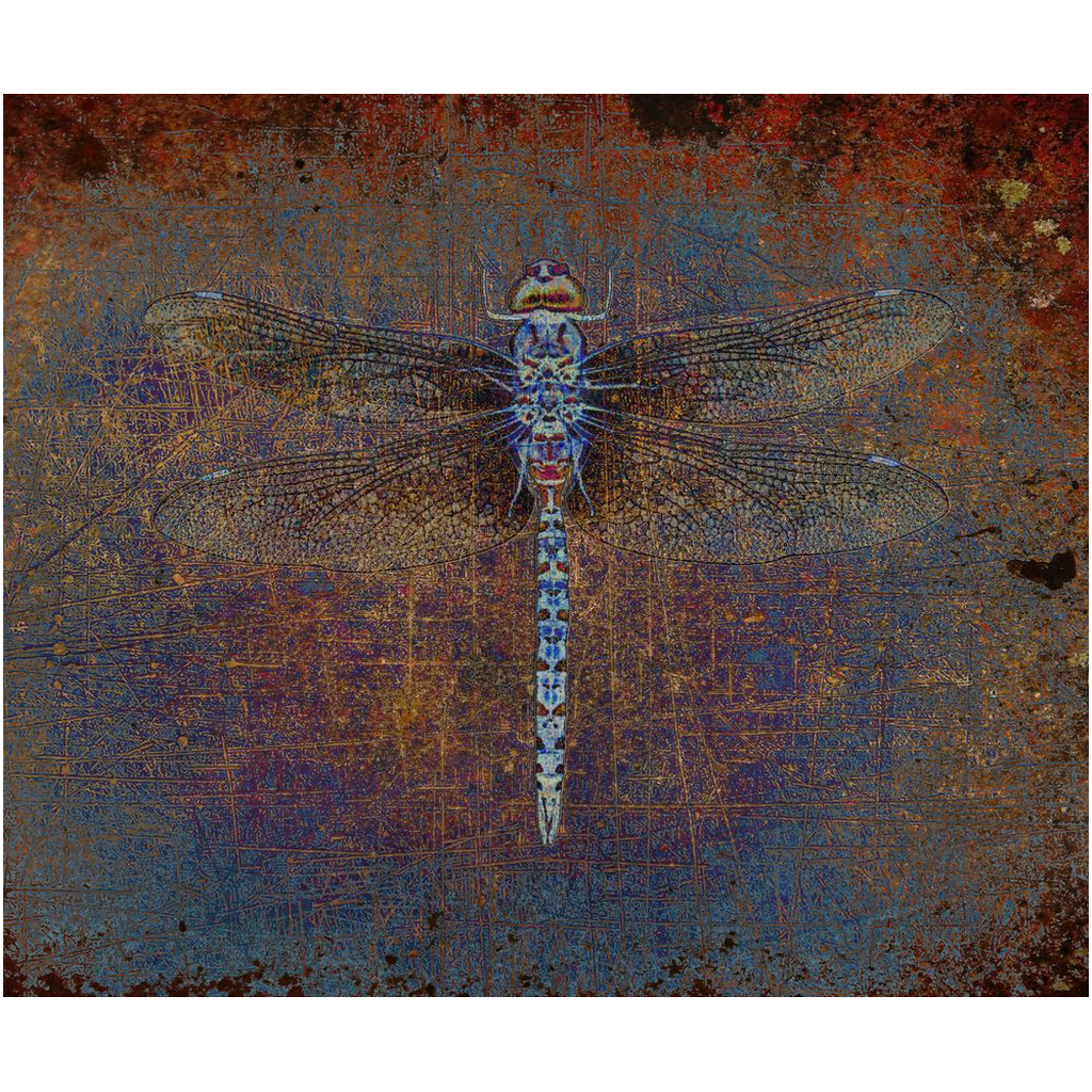 Dragonfly on a Distressed Orange and Purple Background Printed on Rectangular Eco-Friendly Recycled Aluminum 24x30
