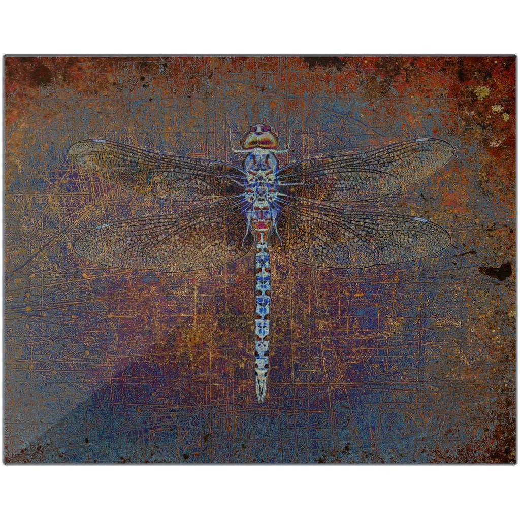 Nature Themed Metal Wall Art Dragonfly on a Distressed Orange and Purple Background Printed on Rectangular Eco-Friendly Recycled Aluminum