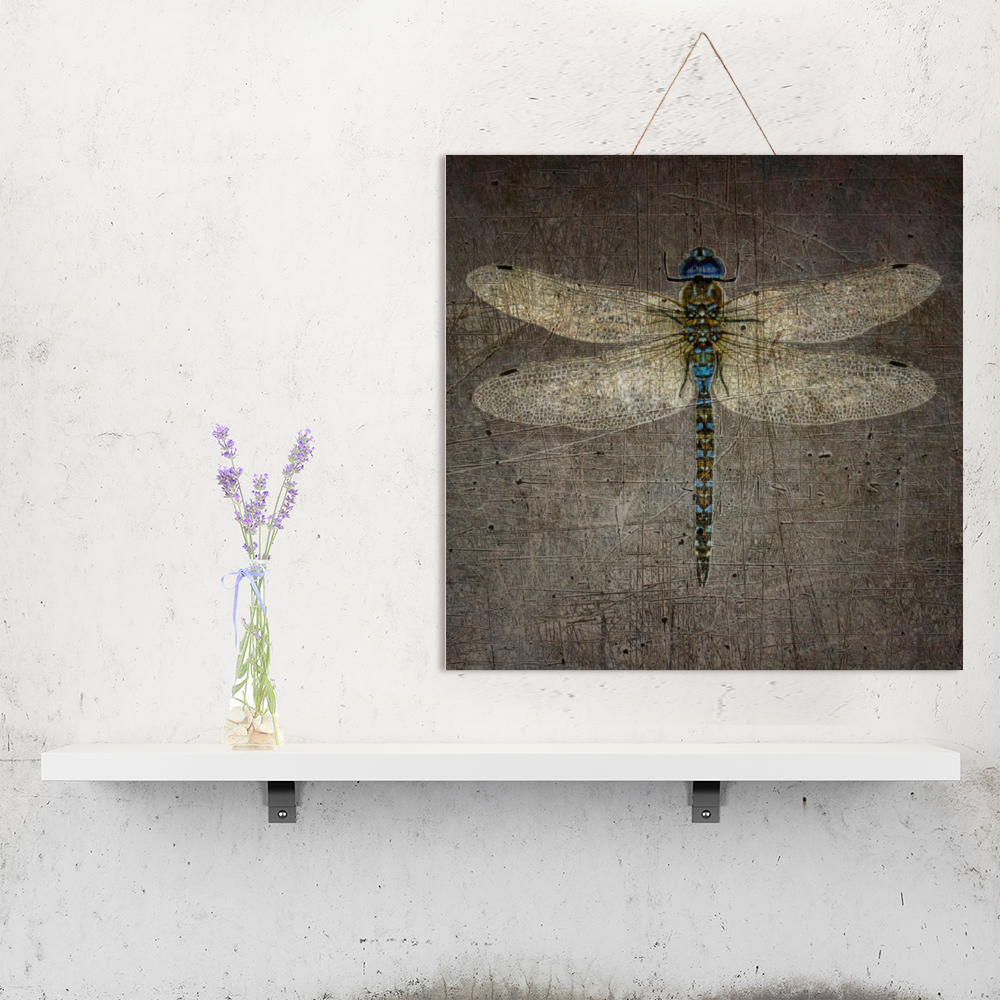 Dragonfly Wall Decor Dragonfly on Distressed Grey Background Print on Wooden Plaque hung