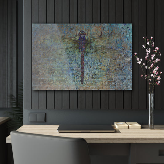 Dragonfly on Distressed Multicolor Brick Wall Printed on a Crystal Clear Acrylic Panel 36x24 hung in dark wall
