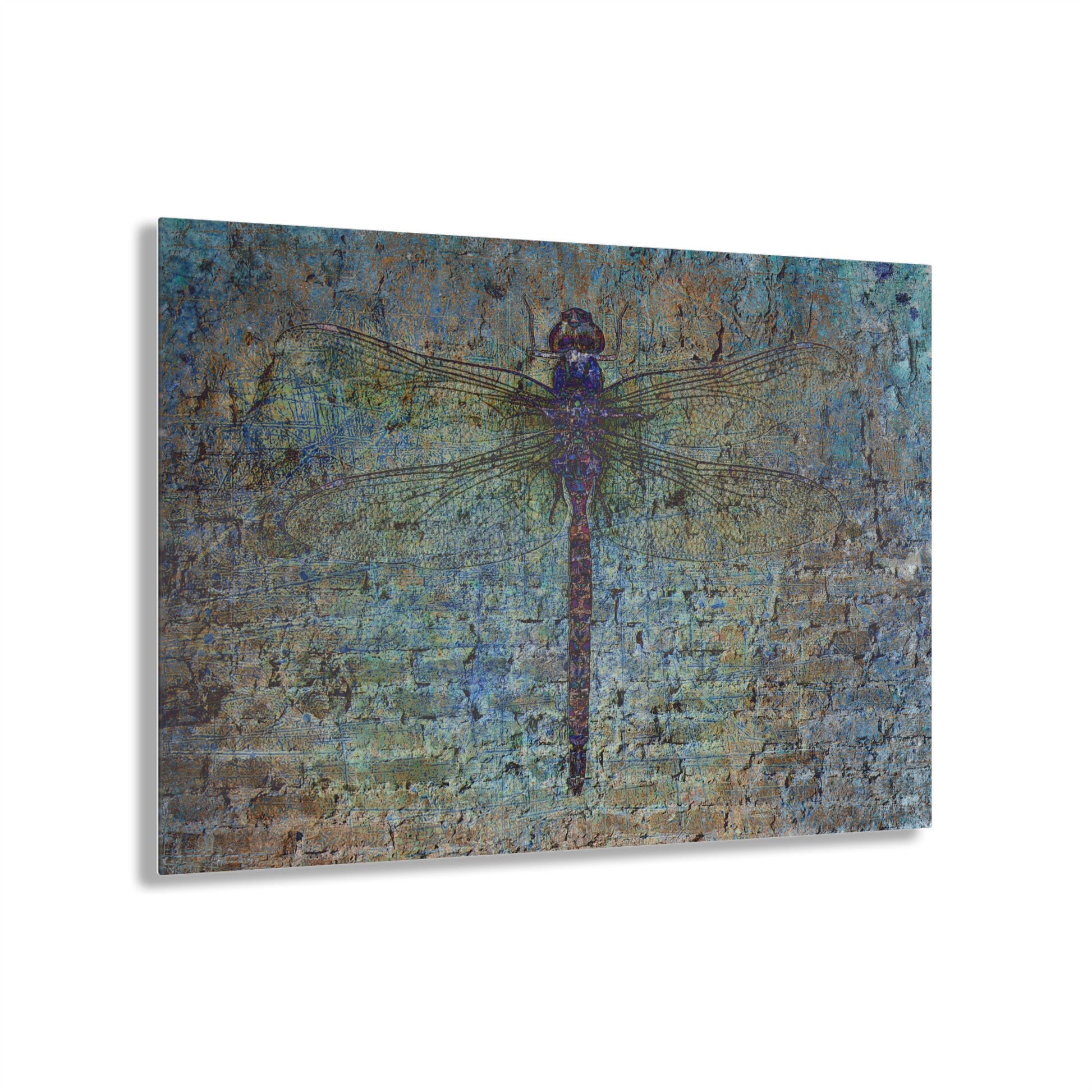 Dragonfly on Distressed Multicolor Brick Wall Printed on a Crystal Clear Acrylic Panel 20x16