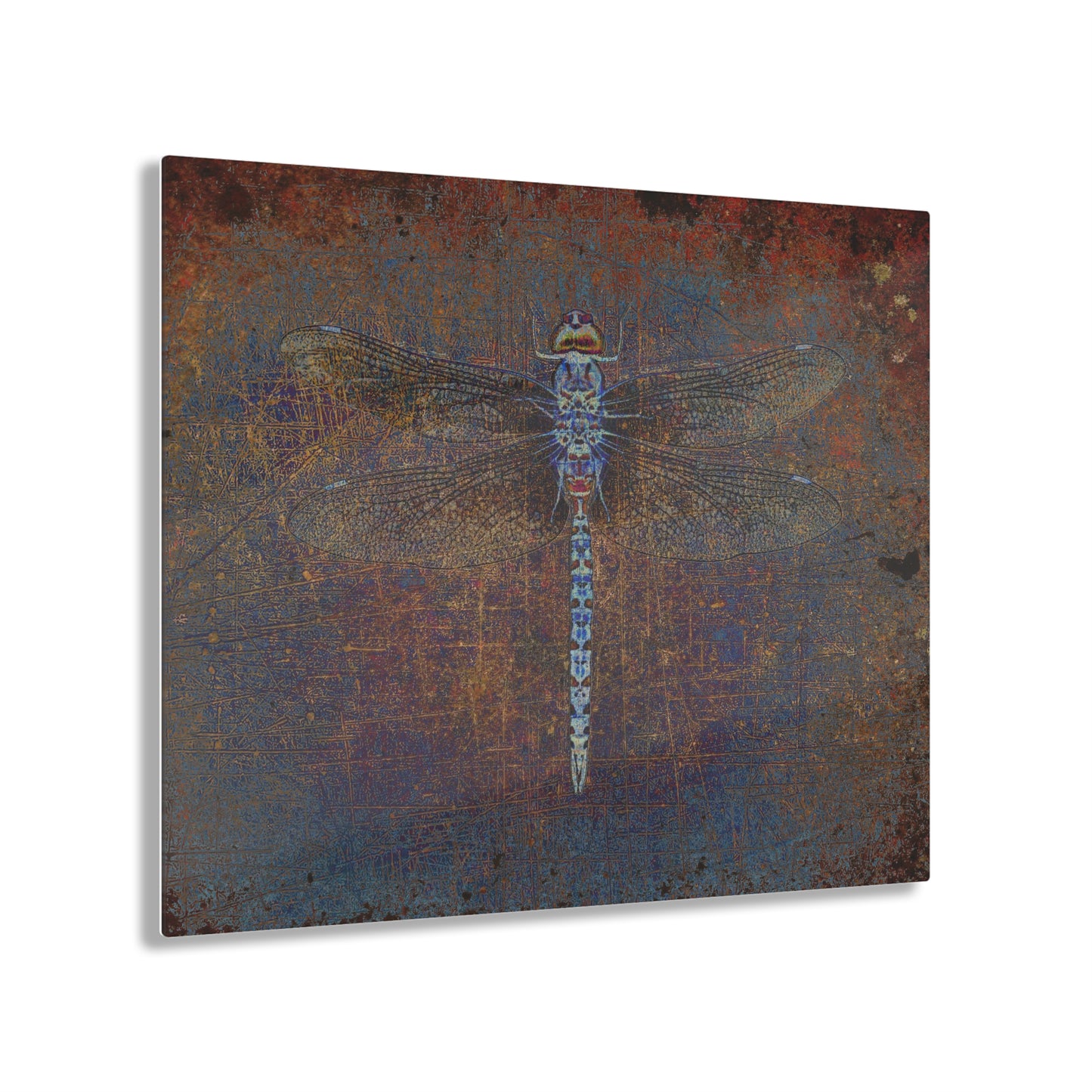 Dragonfly on Distressed Purple and Orange Background Print on a Crystal Clear Acrylic Panel 20x16