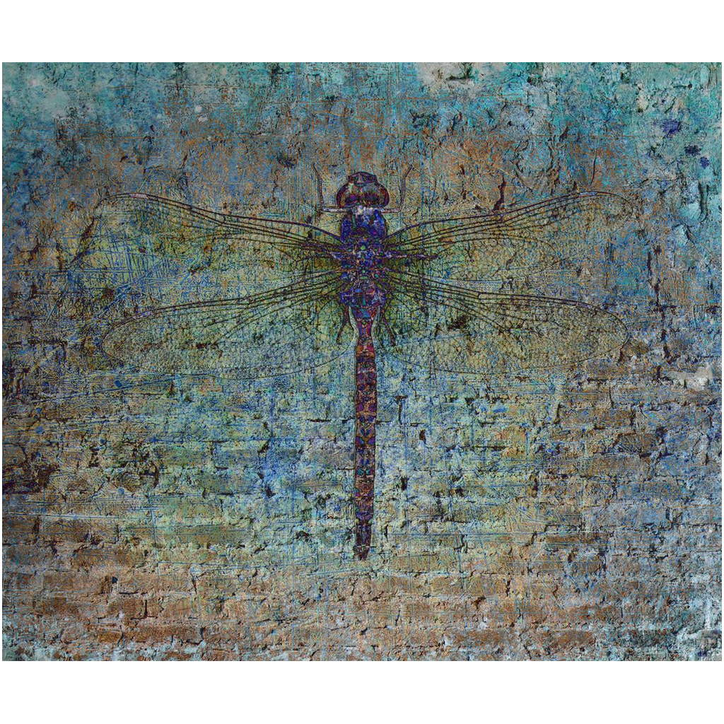 MetalPrint_20x24-20250428140231335