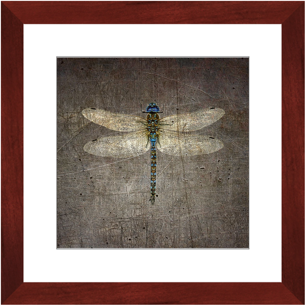 Dragonfly on Distressed Stone Background Framed in a Square Cherry Color Wood Frame 12x12