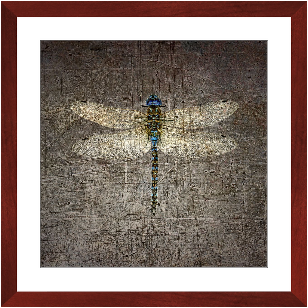 Dragonfly on Distressed Stone Background Framed in a Square Cherry Color Wood Frame 20x20