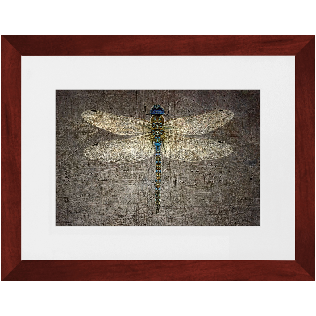 Dragonfly on gray Stone Background Framed in a Rectangle Cherry Color Wood Frame 8x12