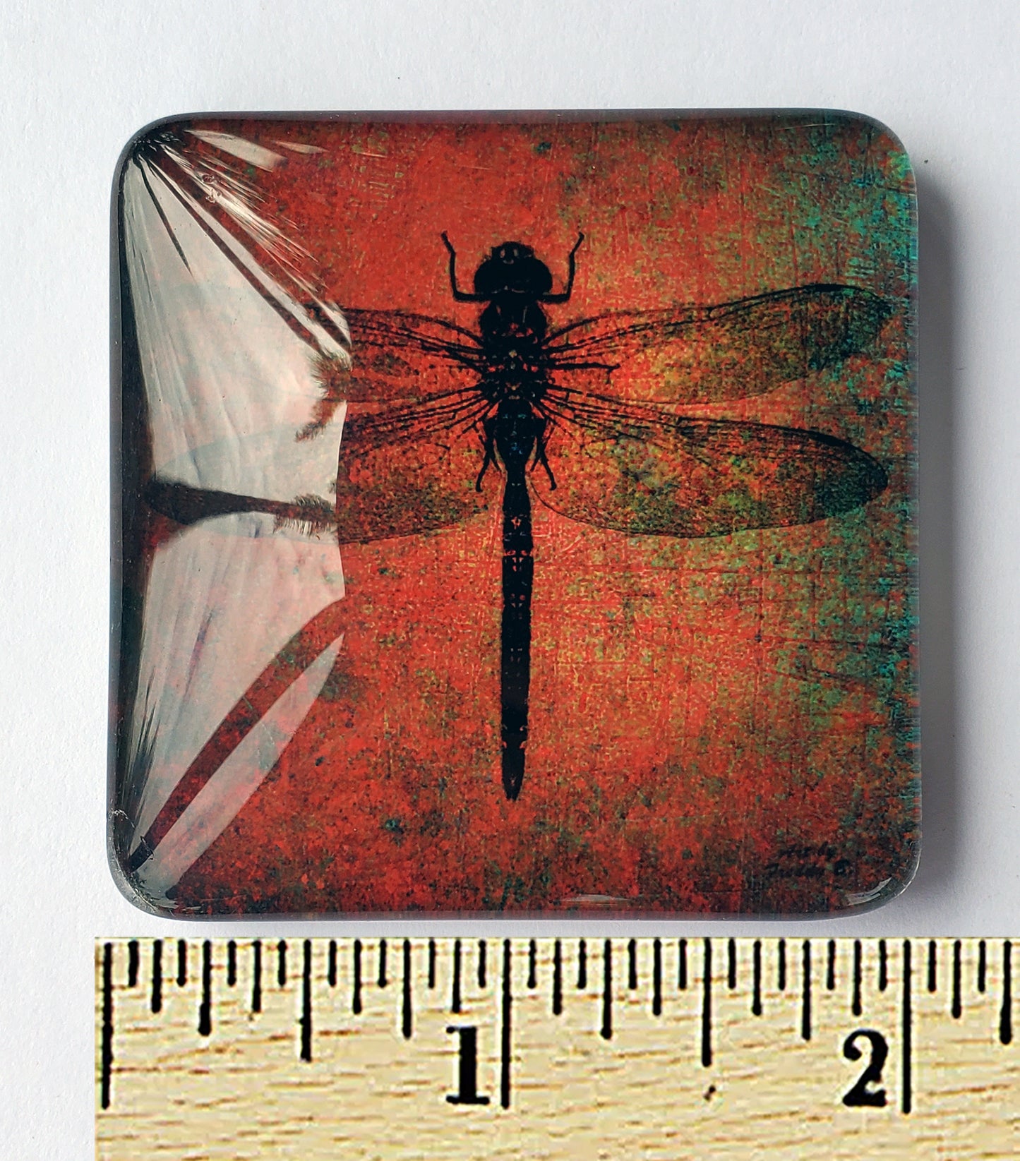 Brown dragonfly glass magnet