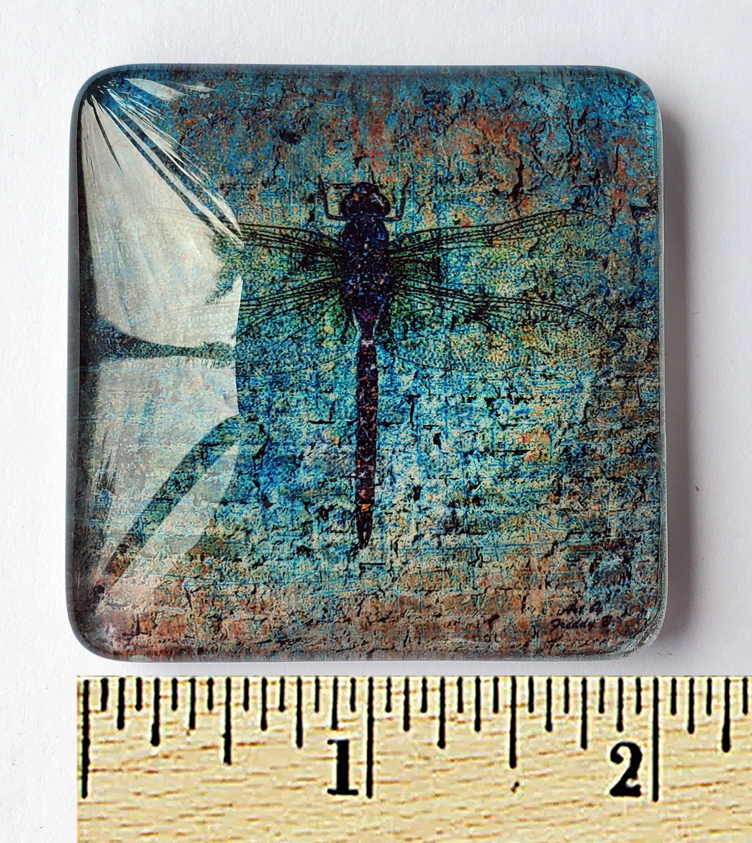 dragonfly on brick glass magnet