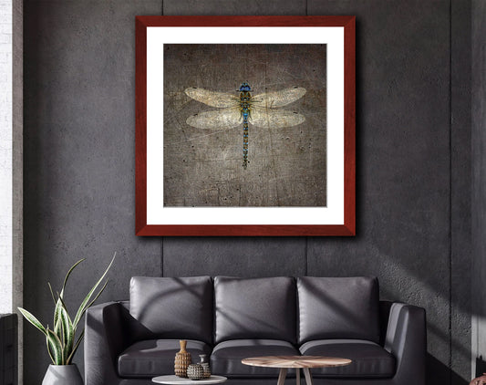 Dragonfly on Distressed Stone Background Framed in a Square Cherry Color Wood Frame 3 sizes available