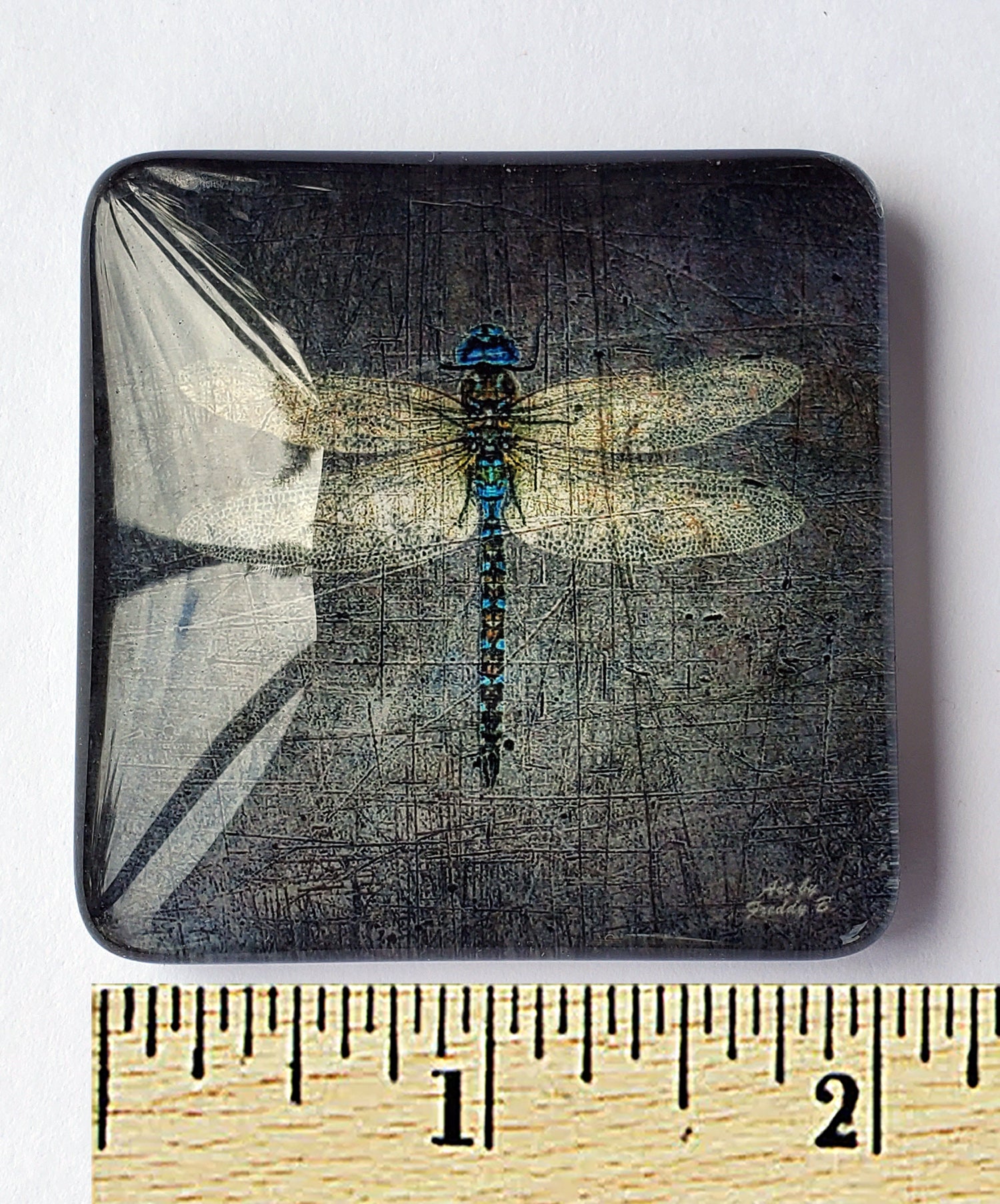 grey dragonfly glass magnet