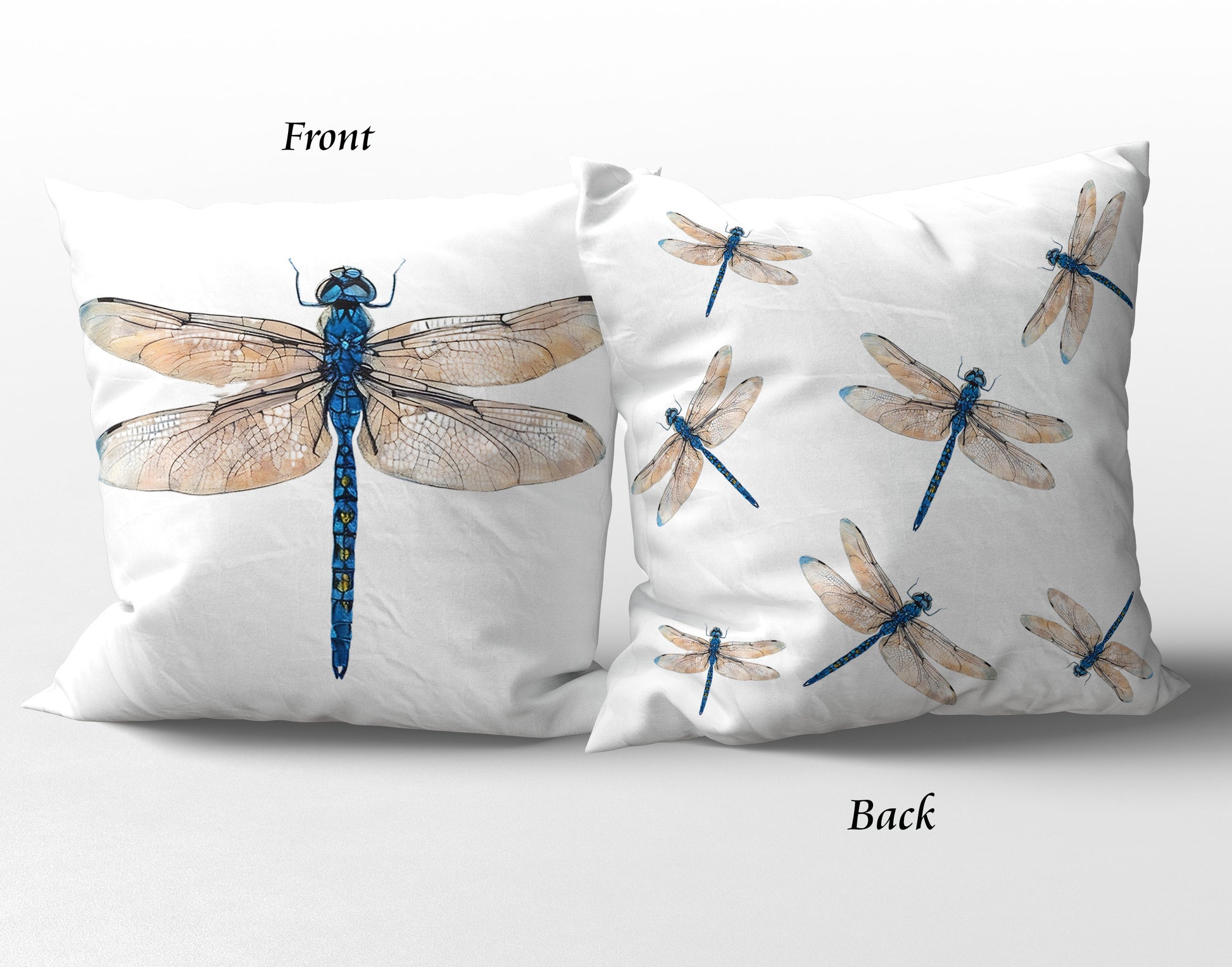 Front and Back on a white background