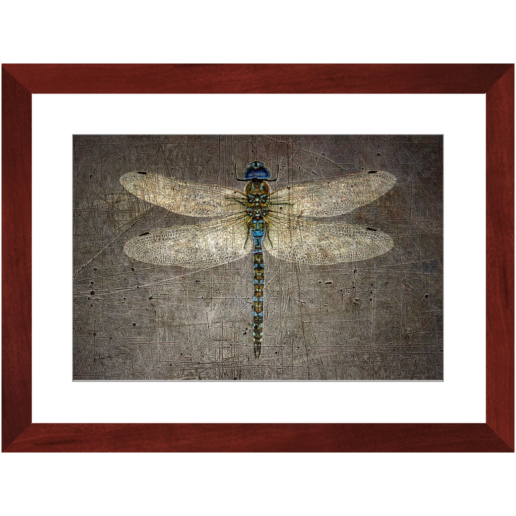 Dragonfly on gray Stone Background Framed in a Rectangle Cherry Color Wood Frame 12x18