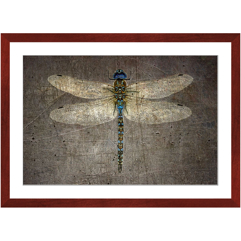 Dragonfly on gray Stone Background Framed in a Rectangle Cherry Color Wood Frame 20x30