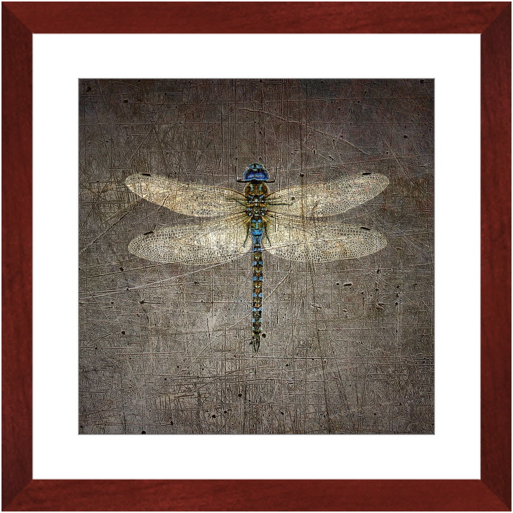 Dragonfly on Distressed Stone Background Framed in a Square Cherry Color Wood Frame 16x16
