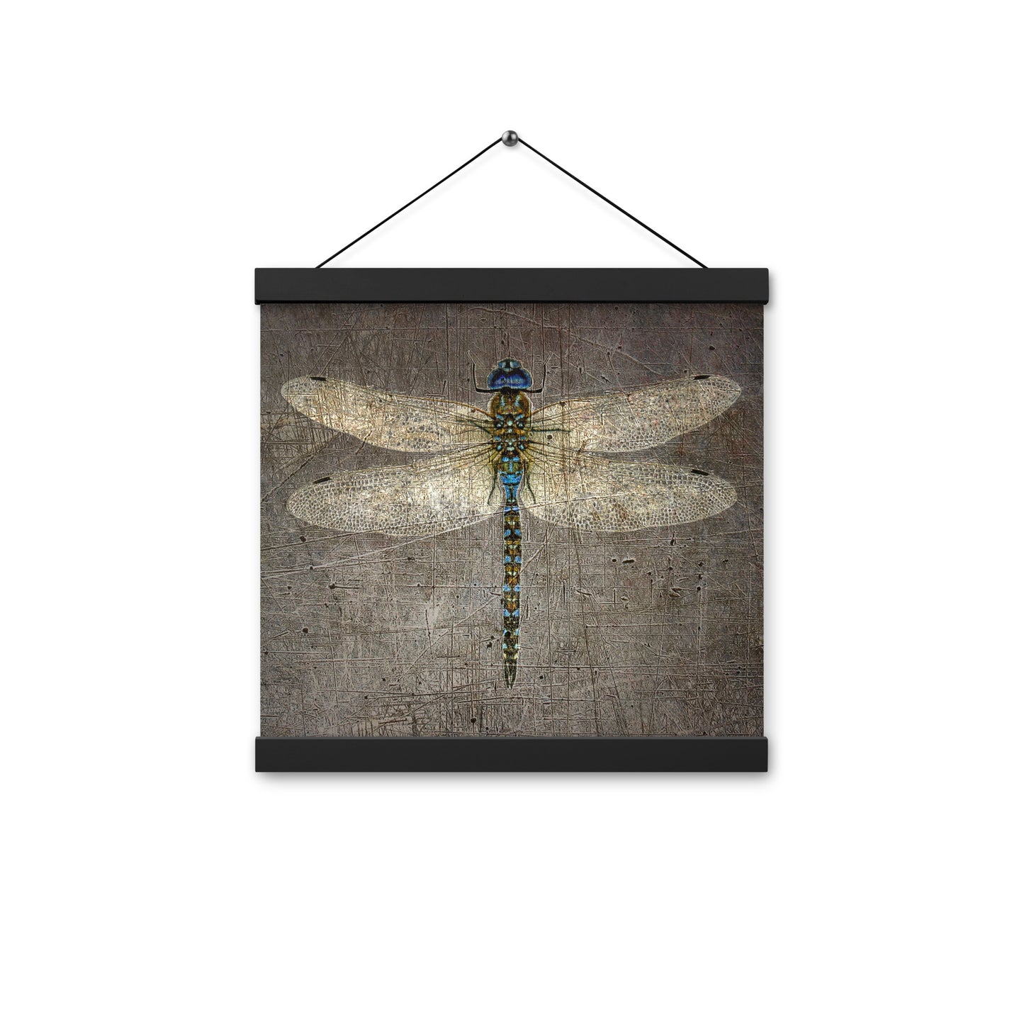 Dragonfly Themed Wall Hanging Dragonfly on Distressed Stone Background Print on Archival Paper with Magnetic Wood Hangers 12x12