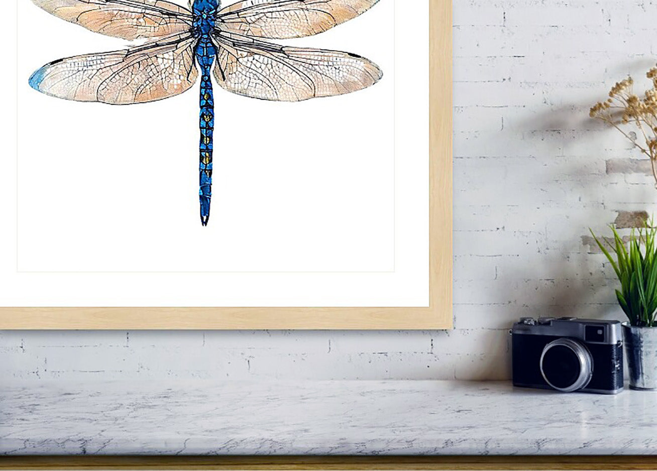 Framed dragonfly wall art hanging on a white brick wall above a marble surface, with a camera and small plant nearby. The artwork shows a blue dragonfly with tan wings on a white background.