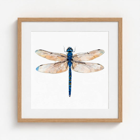 Framed wall art featuring a watercolor-style dragonfly centered on a white mat, set in a light natural wood frame against a white wall.