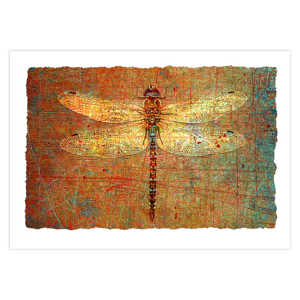 Dragonfly Print Greeting Cards Golden Dragonfly Stationery and Blank Cards
