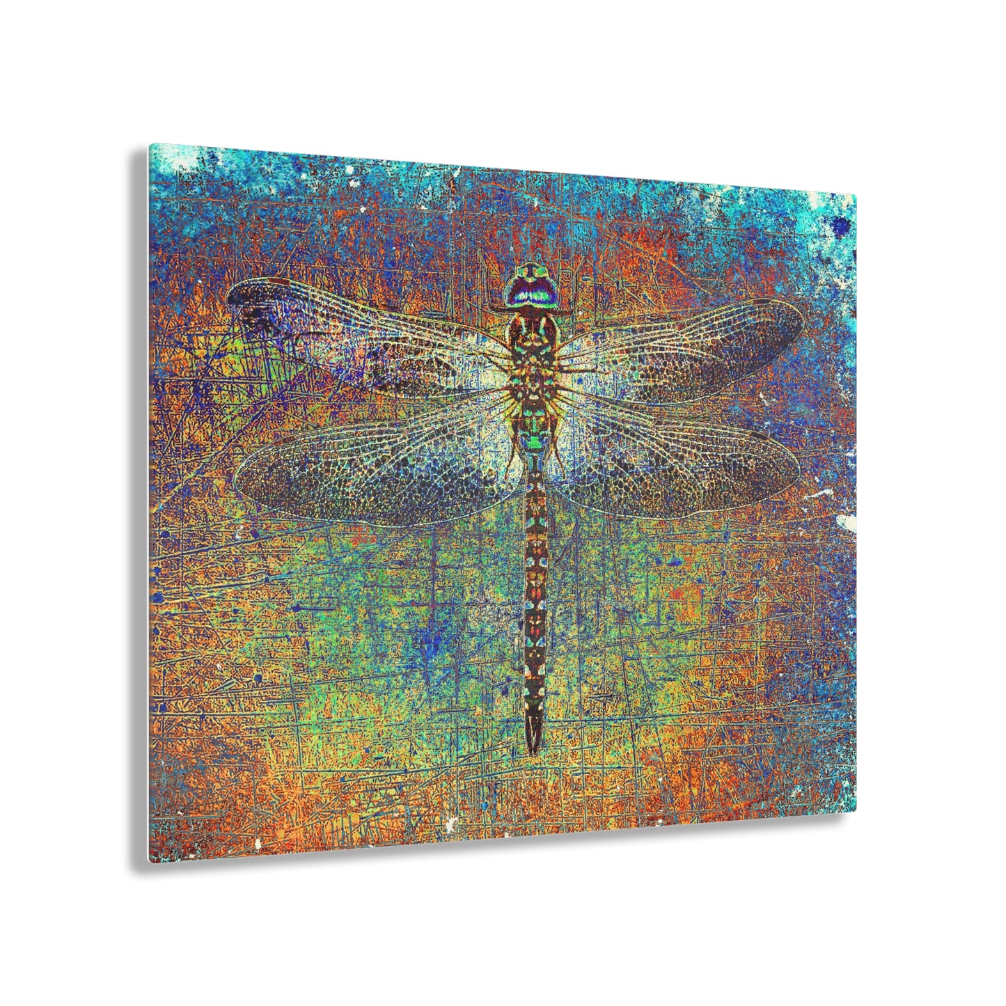 Dragonfly Themed Plexiglass Wall Art - Dragonfly on Multicolor Background Printed on a Crystal Clear Acrylic Panel