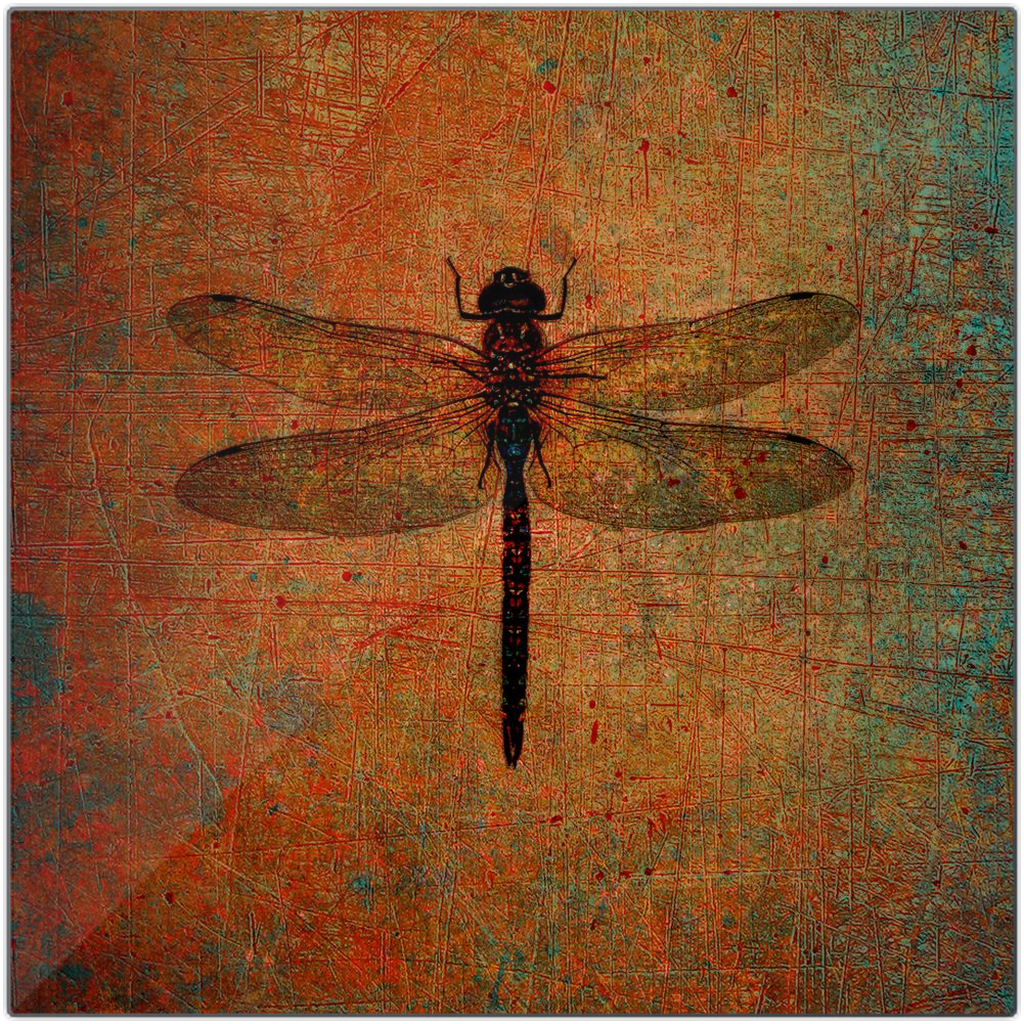 Dragonfly Metal Wall Art Dragonfly on Distressed Brown Background Printed on Eco-Friendly Recycled Aluminum