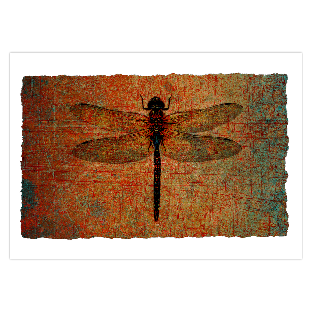 Dragonfly Print Greeting Cards Brown Dragonfly Stationery and Blank Cards