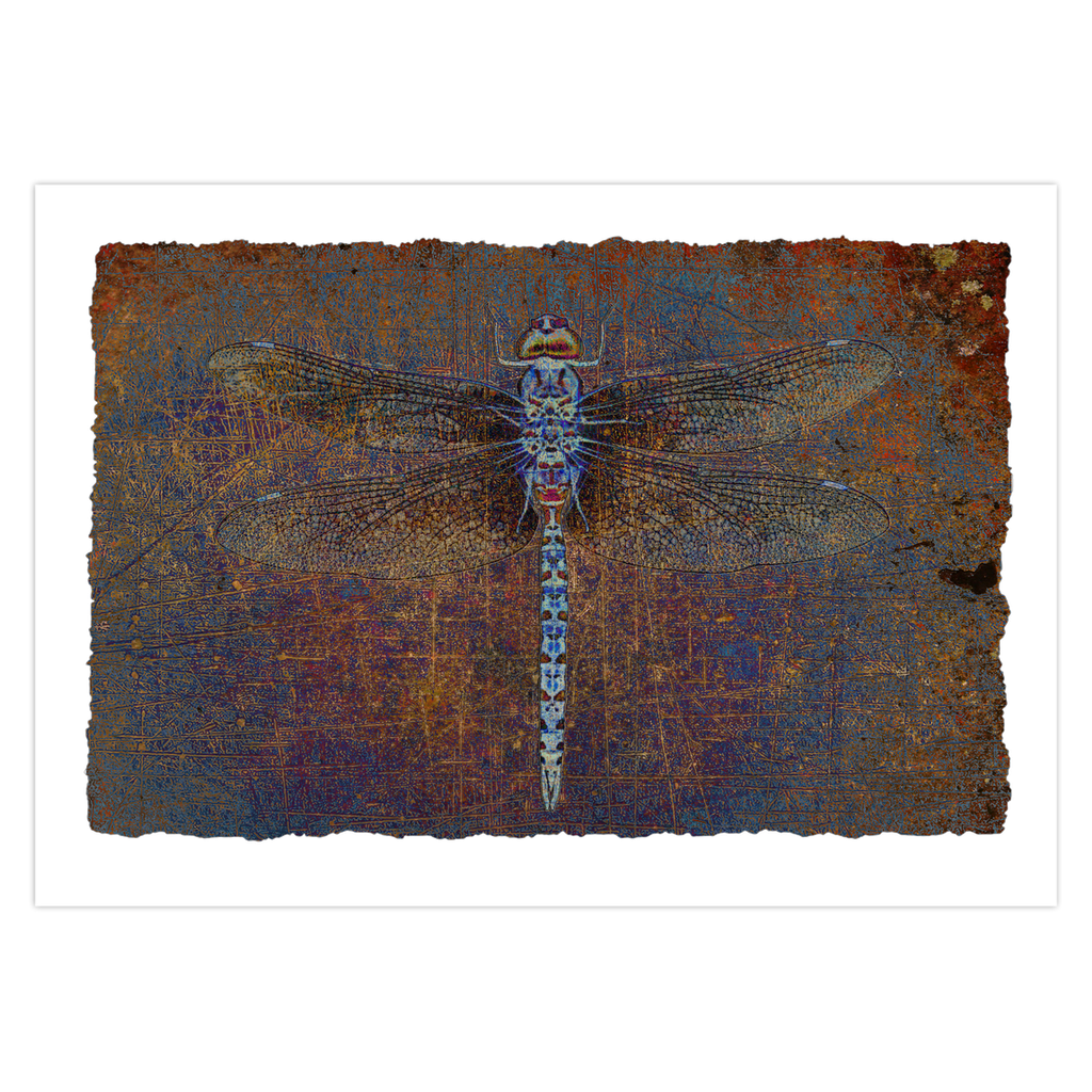 Dragonfly Print Greeting Cards Purple Dragonfly Stationery and Blank Cards