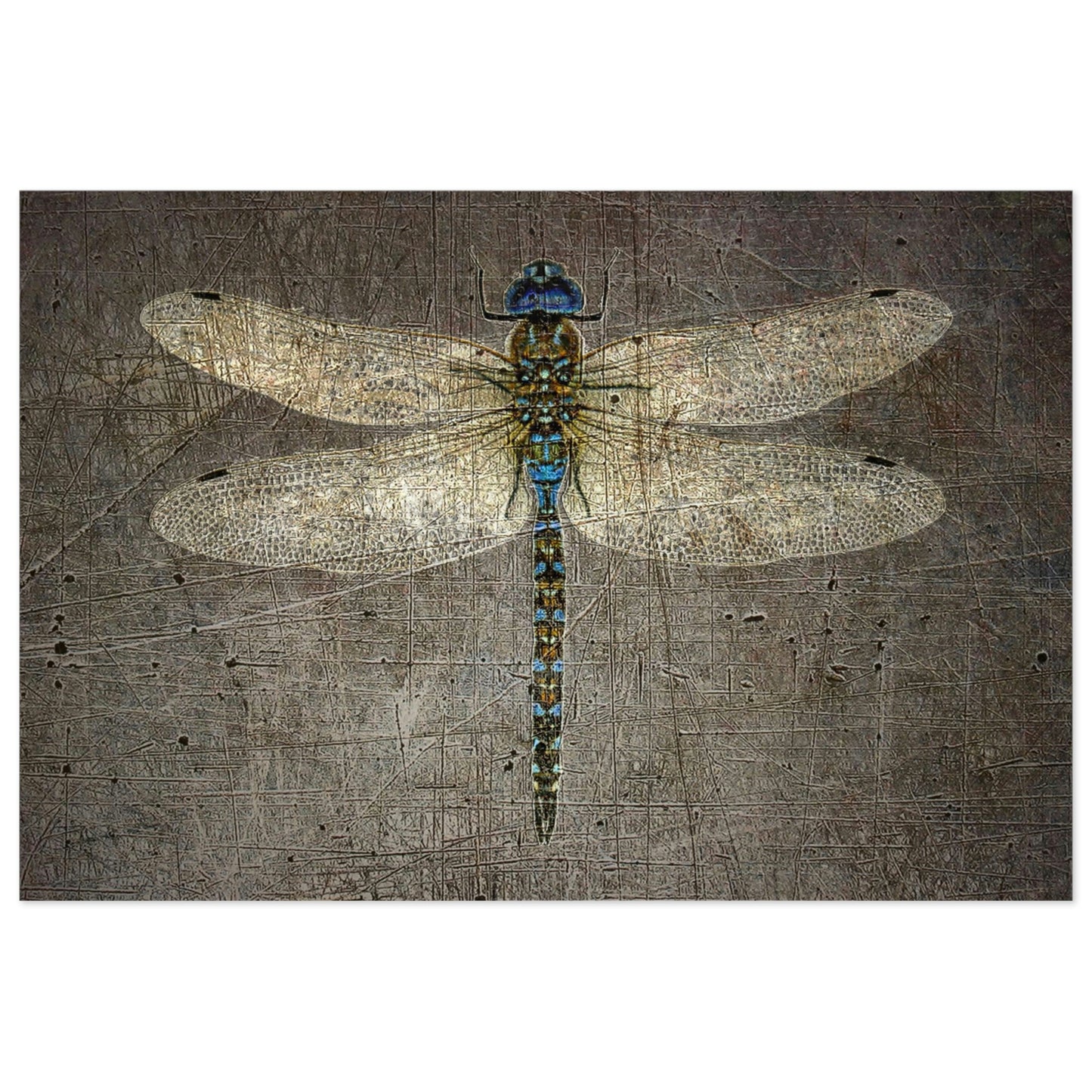 Dragonfly on Distressed Granite Background Puzzle 1000 pieces
