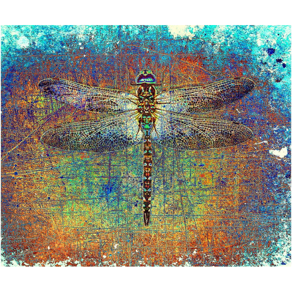 Dragonflies Themed Wall Artwork Dragonfly on Multicolor Background Printed on Rectangular Eco-Friendly Recycled Aluminum