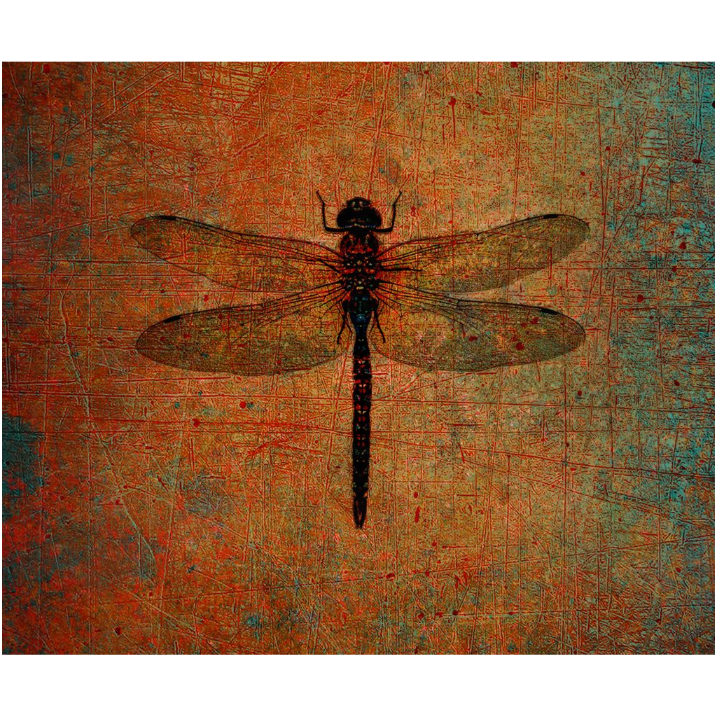 Dragonfly and Nature Themed Wall Art Dragonfly on Distressed Brown Background Printed on Rectangular Eco-Friendly Recycled Aluminum