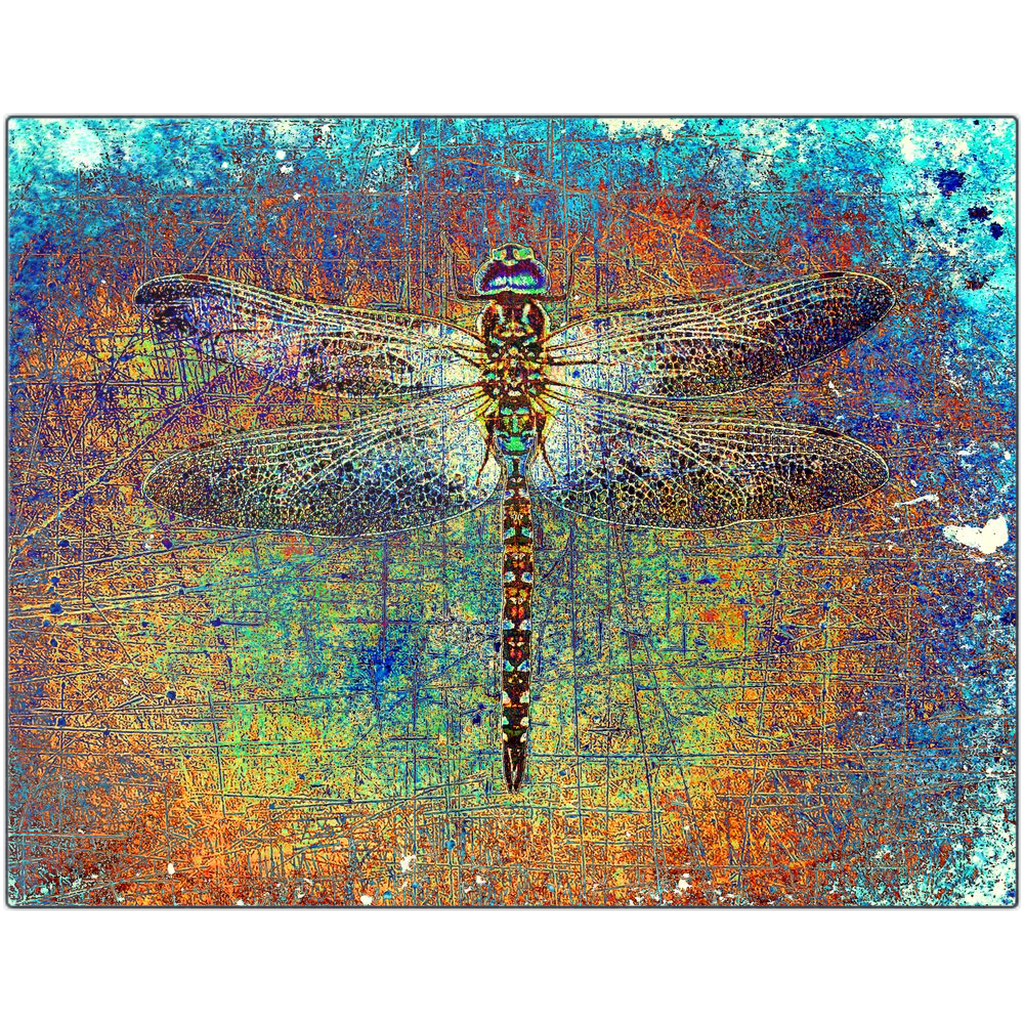 Dragonfly on Multicolor Background Printed on Rectangular Eco-Friendly Recycled Aluminum 11x14