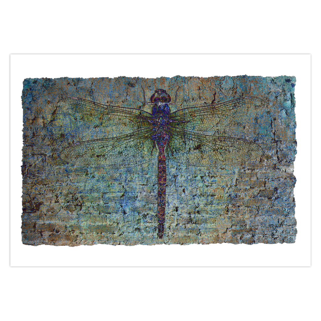 Dragonfly Print Greeting Cards Blue Dragonfly on Brick Stationery and Blank Cards