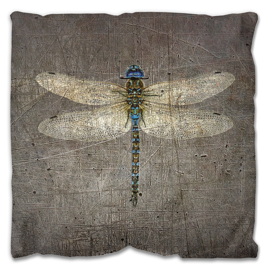 Outdoor Pillows - Dragonfly on Distressed Grey Background 18x18 front
