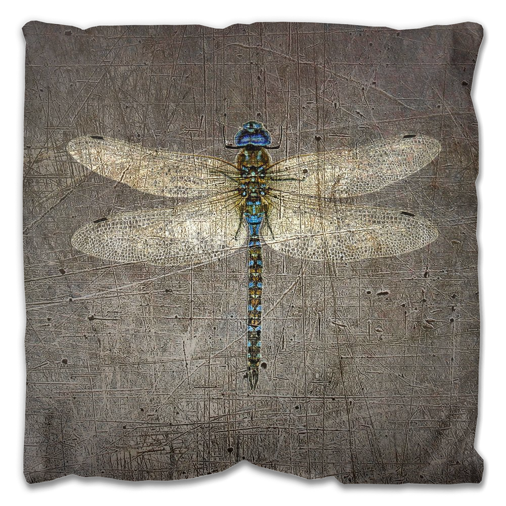 Outdoor Pillows - Dragonfly on Distressed Grey Background 16x16 front