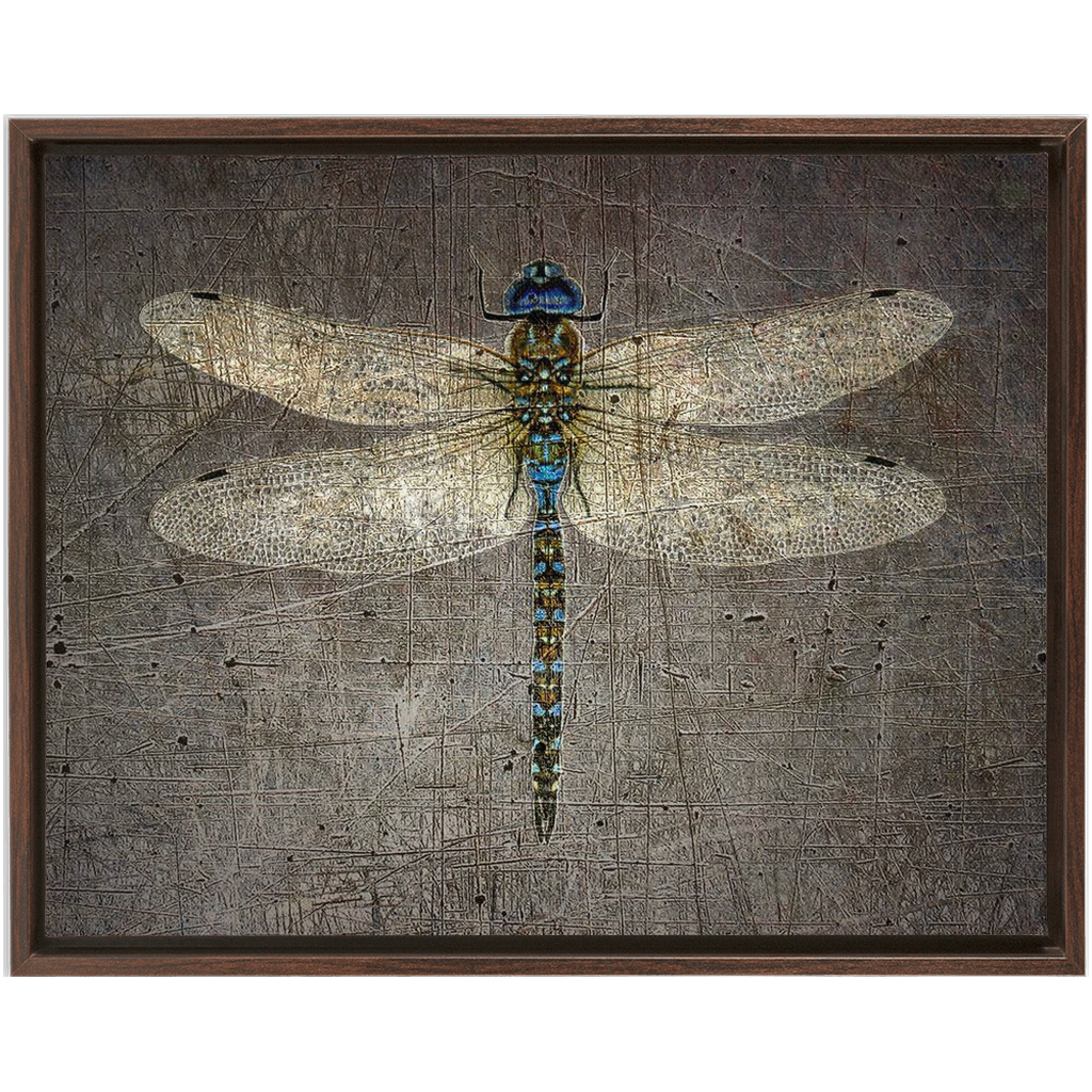 Dragonfly on Distressed Stone Background Rectangular Print on Canvas in a Floating Frame