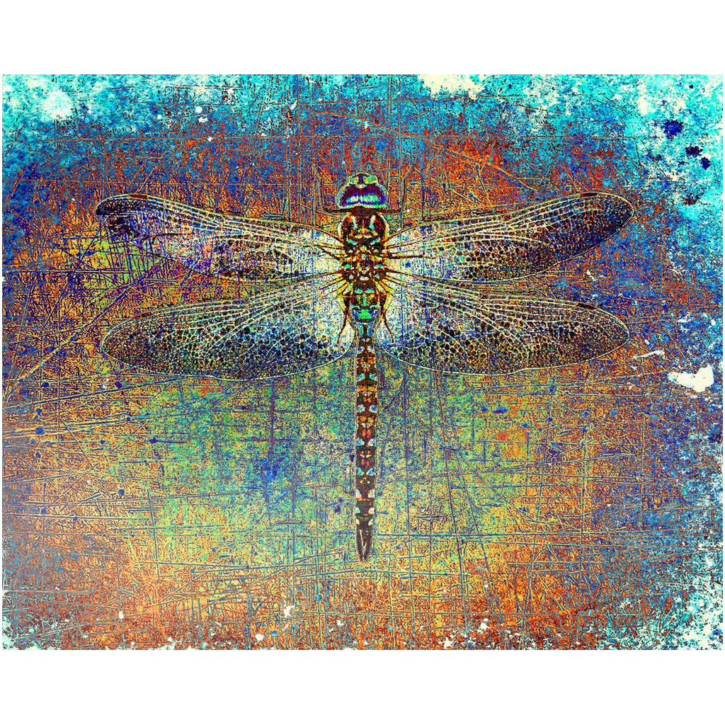 Dragonfly on Multicolor Background Printed on Rectangular Eco-Friendly Recycled Aluminum 8x10
