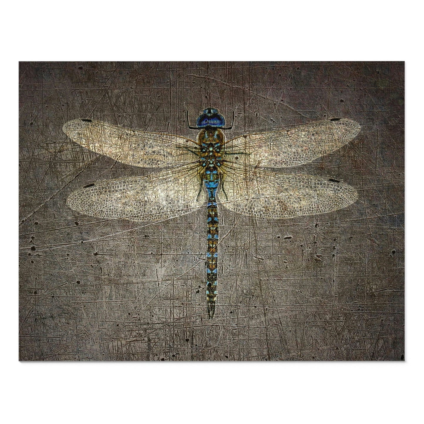 Dragonfly on Distressed Granite Background Puzzle 250 pieces