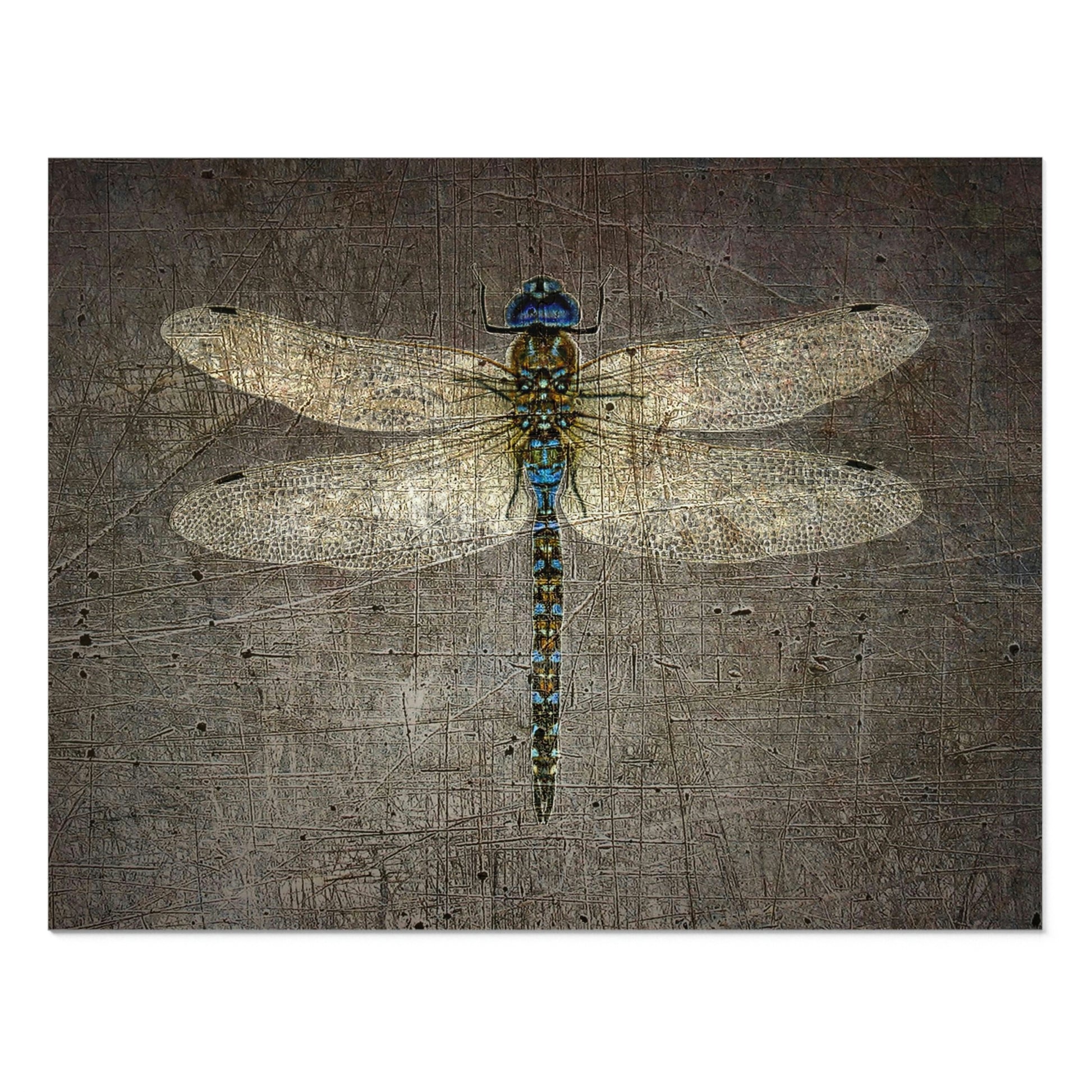 Dragonfly on Distressed Granite Background Puzzle 250 pieces