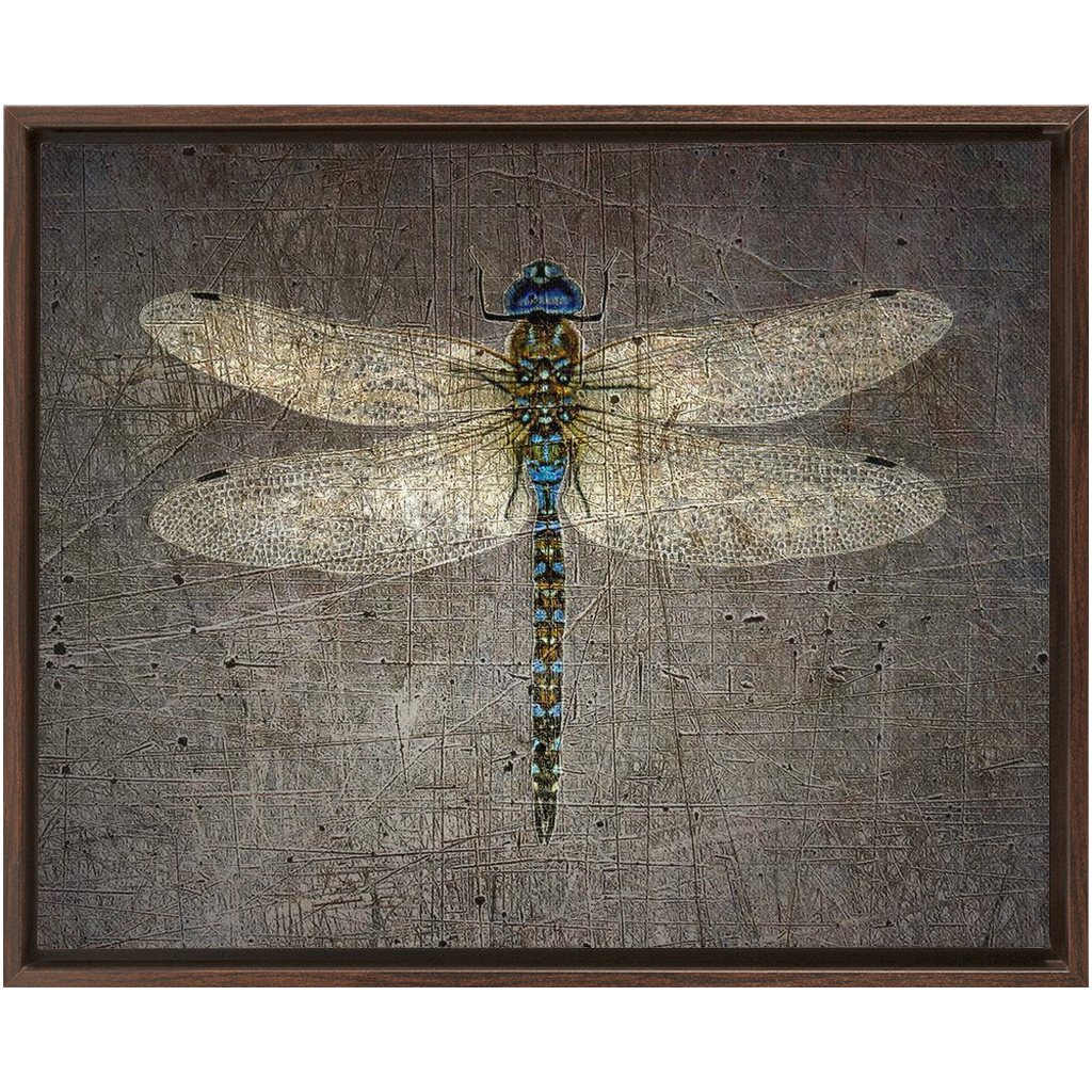 Dragonfly on Distressed Stone Background Rectangular Print on Canvas in a Floating Frame 32x40