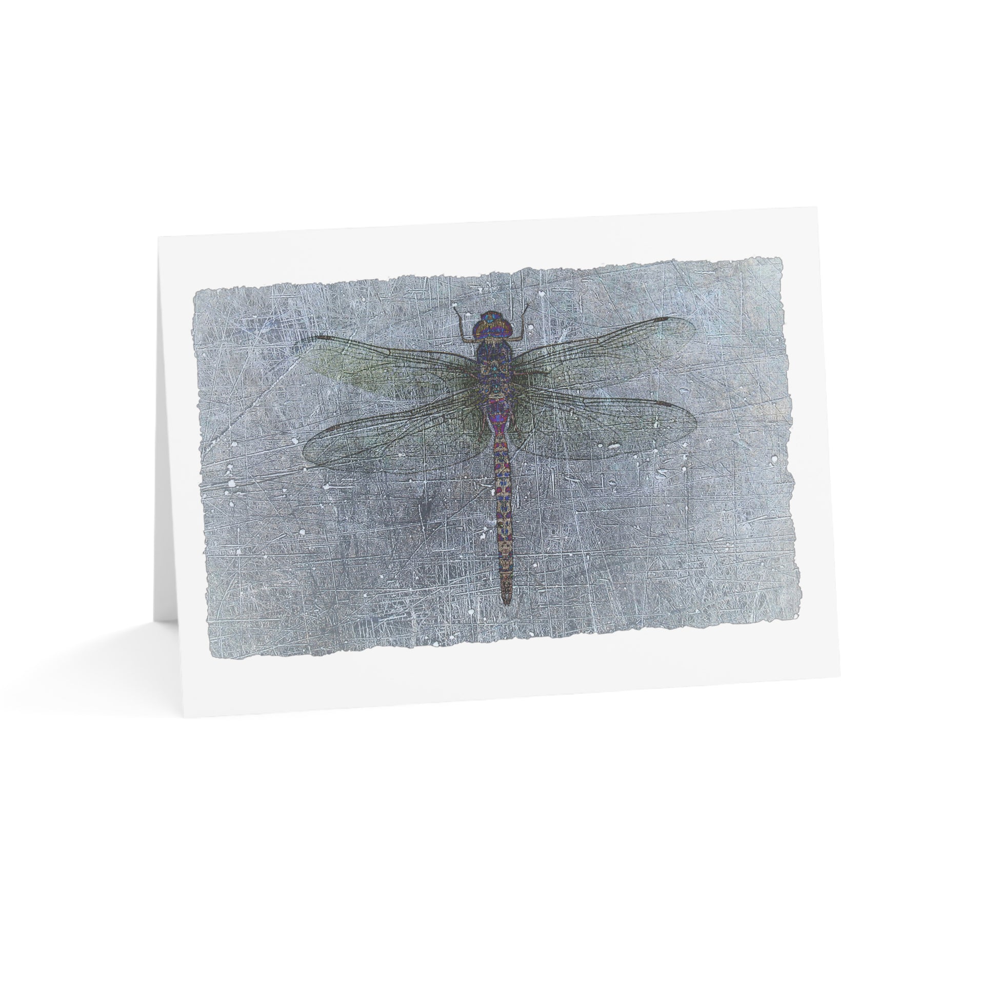 Dragonfly Print Greeting Cards Blue Gray Dragonflies Stationery and Blank Cards side view
