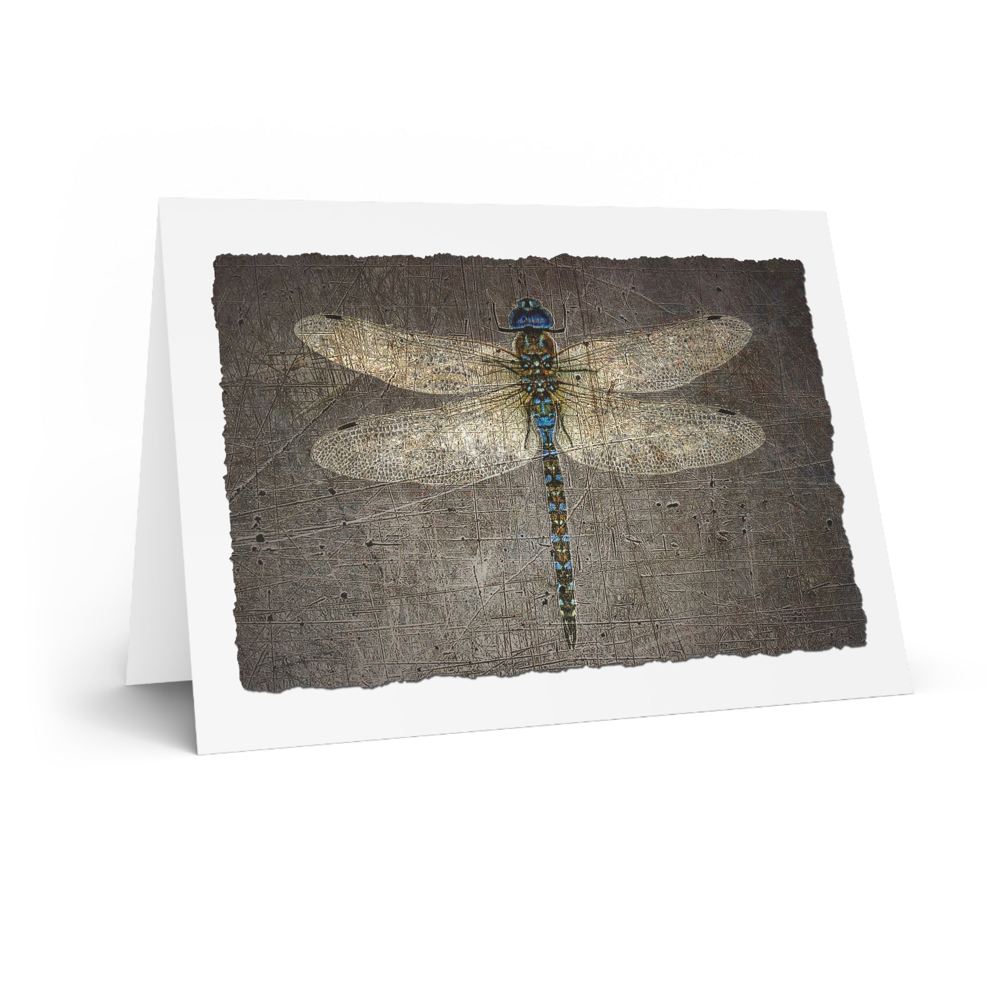 Dragonfly Themed Stationery Gray Dragonfly Blank Greeting Cards with Envelopes side view
