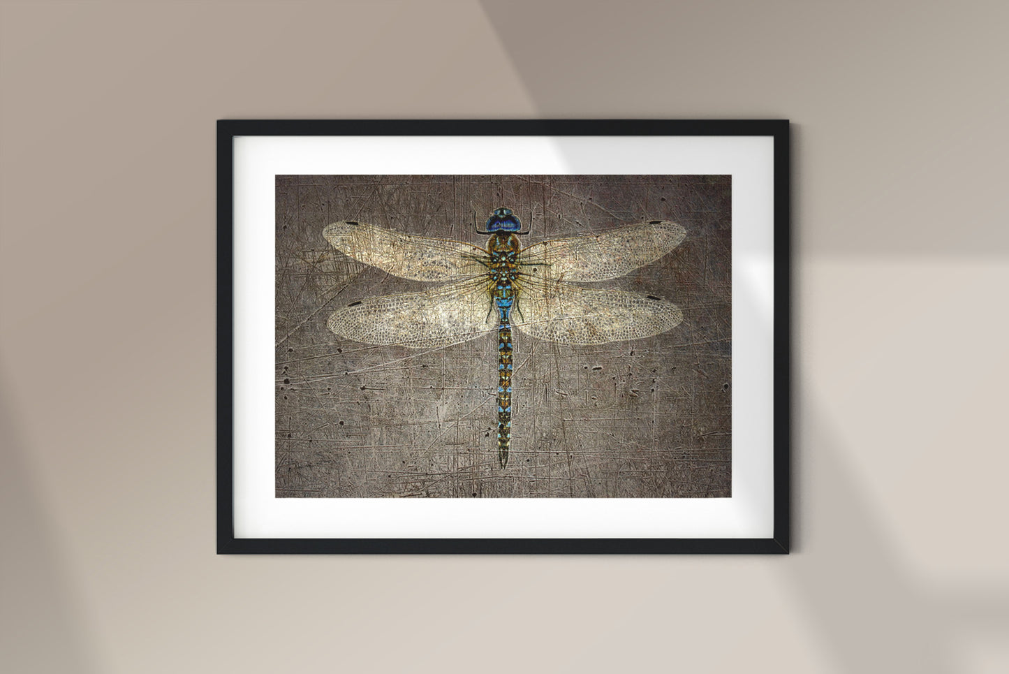 Dragonfly on Distressed Granite Background Print on Rectangular Museum-quality Archival Paper framed and hung