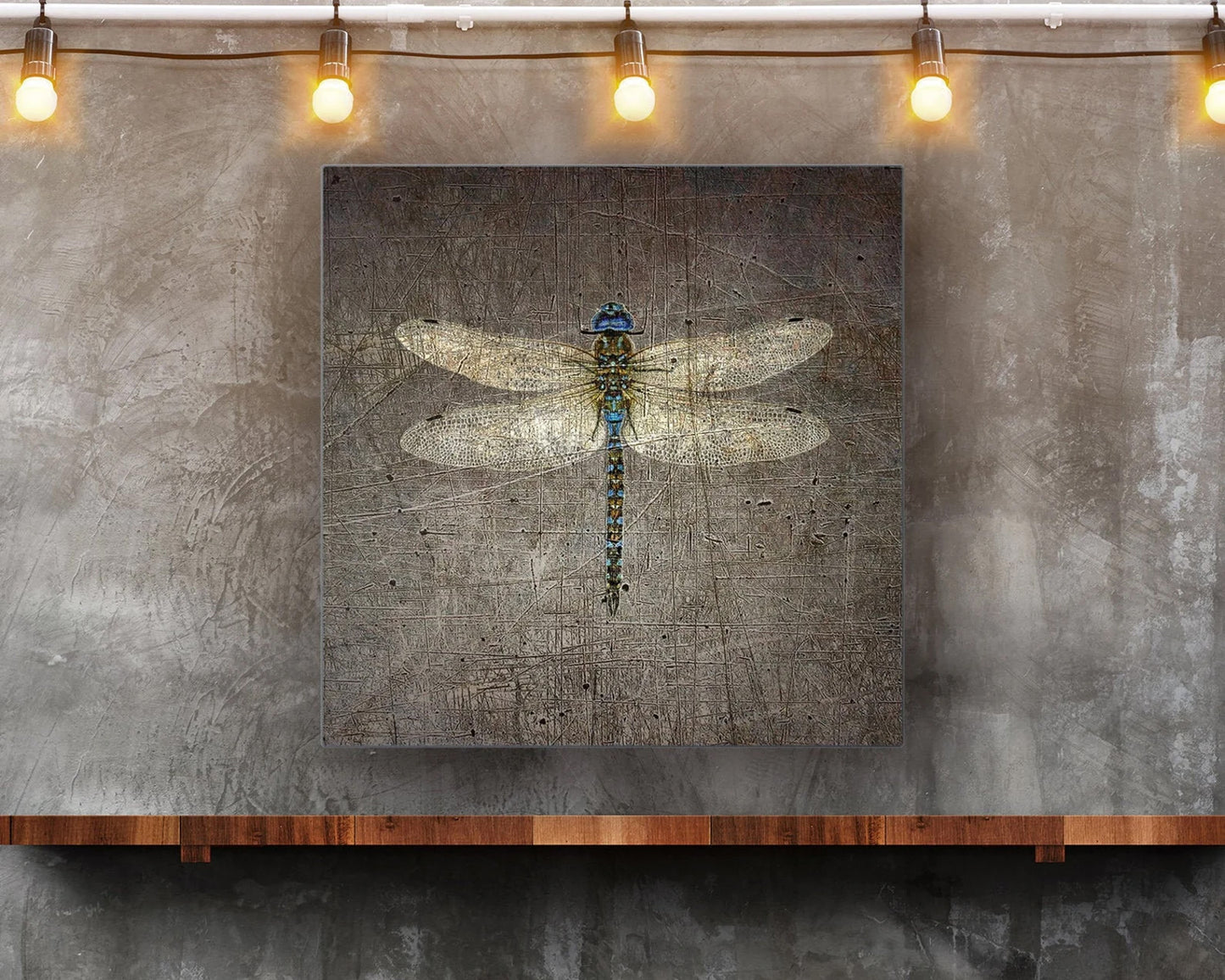 Dragonfly on Distressed Stone Background Printed on Eco-Friendly Recycled Aluminum