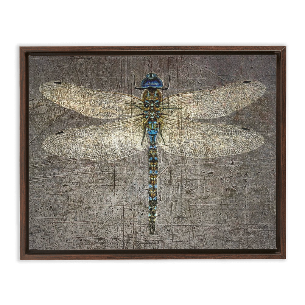 Dragonfly on Distressed Stone Background Rectangular Print on Canvas in a Floating Frame