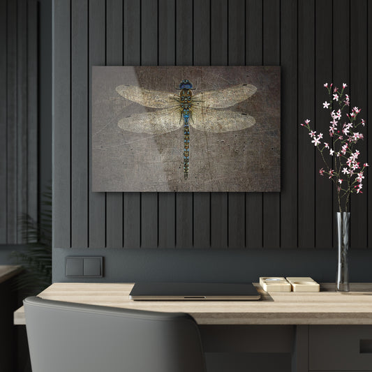Nature Themed Plexiglass Wall Art Dragonfly on Distressed Stone Background Printed on a Crystal Clear Acrylic Panel