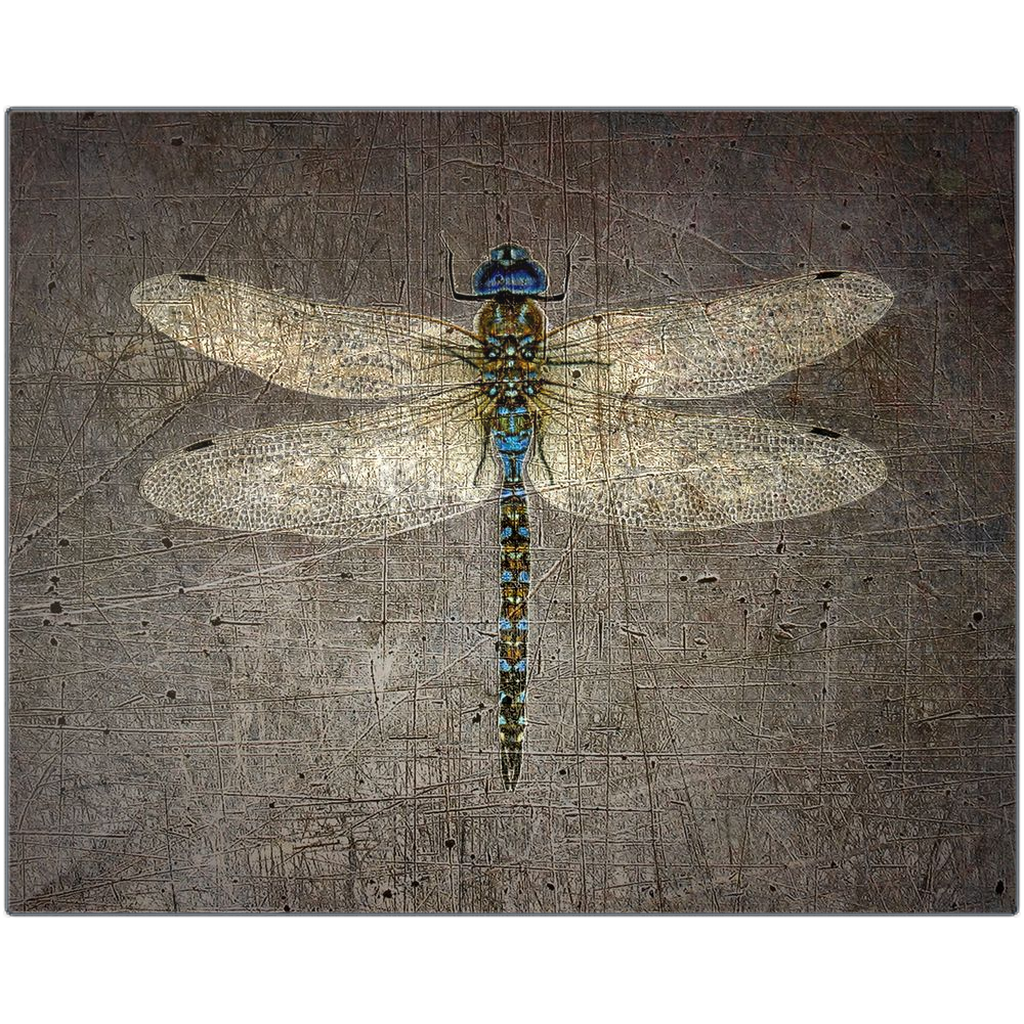 Dragonfly Metal Wall Print Dragonfly on Distressed Stone Background Printed on Rectangular Eco-Friendly Recycled Aluminum