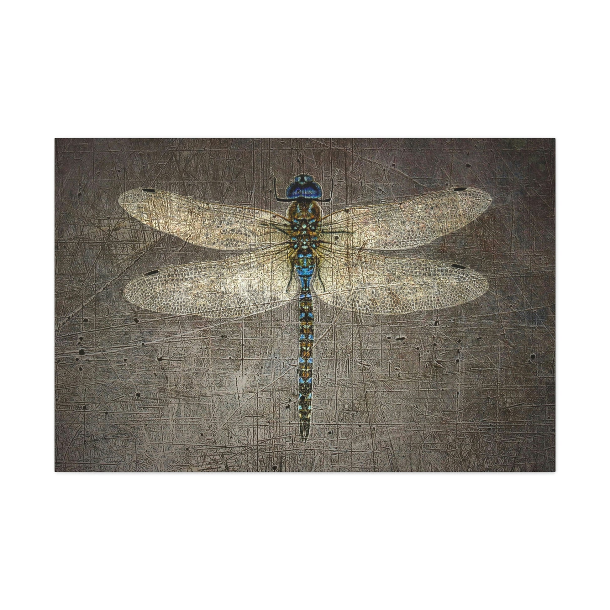 Dragonfly on Distressed Stone Background Rectangular Print on Unframed Stretched Canvas 4 sizes available