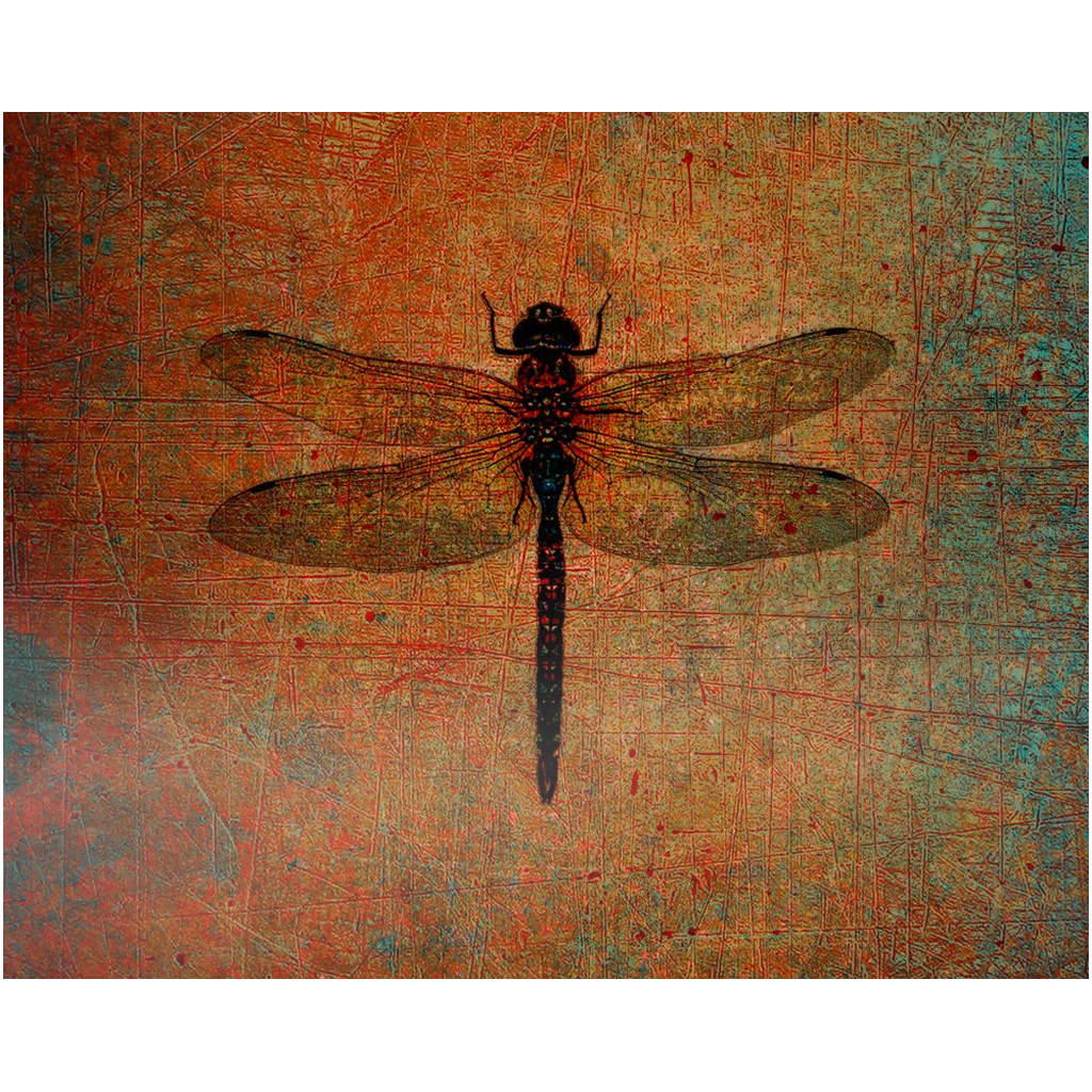 Dragonfly on Distressed Brown Background Printed on Rectangular Eco-Friendly Recycled Aluminum 4 sizes available
